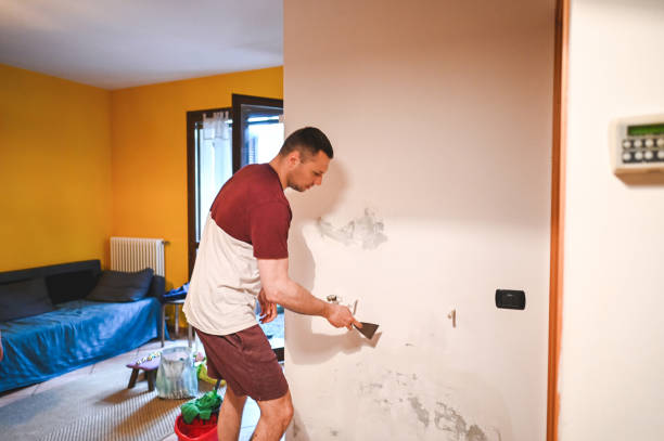Best Bathroom Mold Remediation in Palmetto Estates, FL
